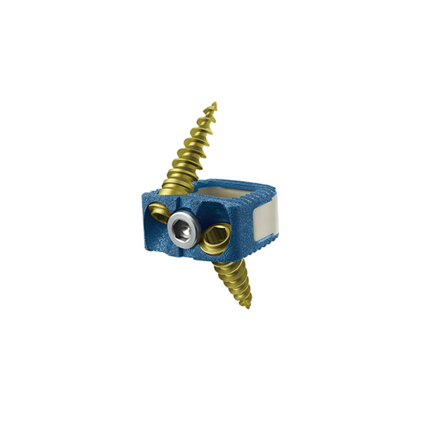 椎間融合器系列