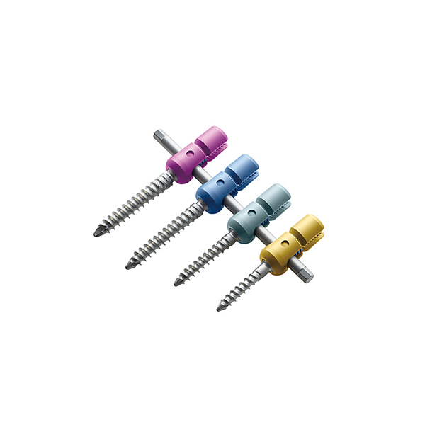 SmartLoc Spinal Fixation System