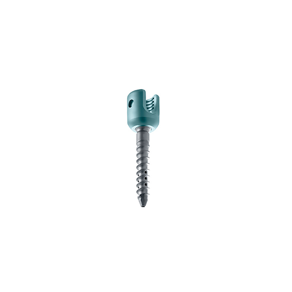 SmartLoc Omega 史麥特歐美加脊椎固定系統